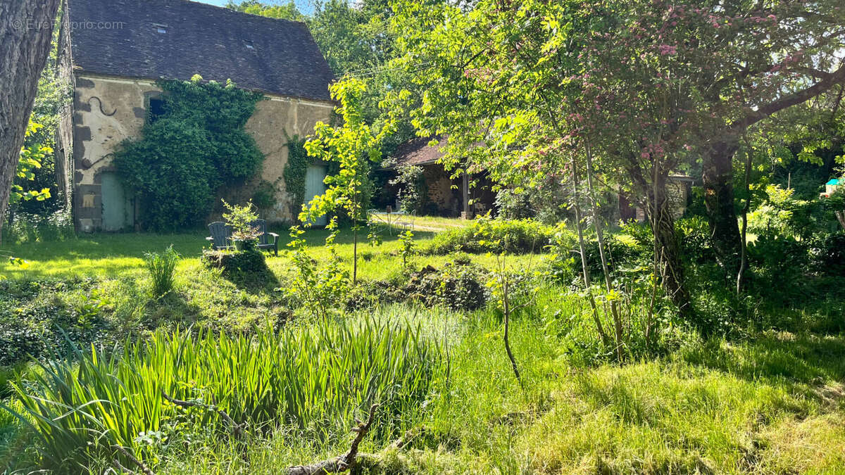 Maison à SAINT-SAUVEUR-EN-PUISAYE