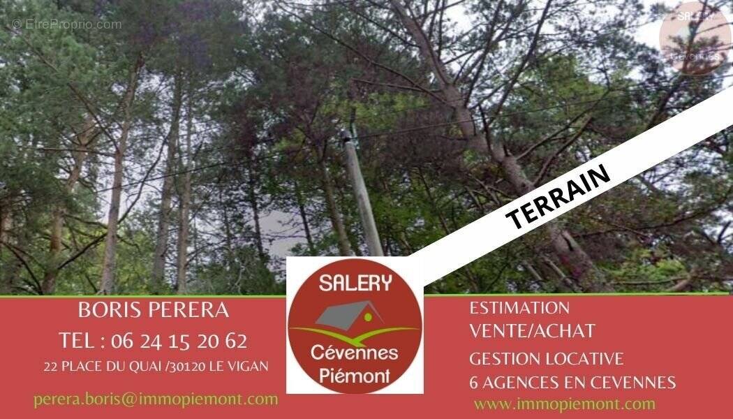 Terrain à SAINT-SAUVEUR-CAMPRIEU