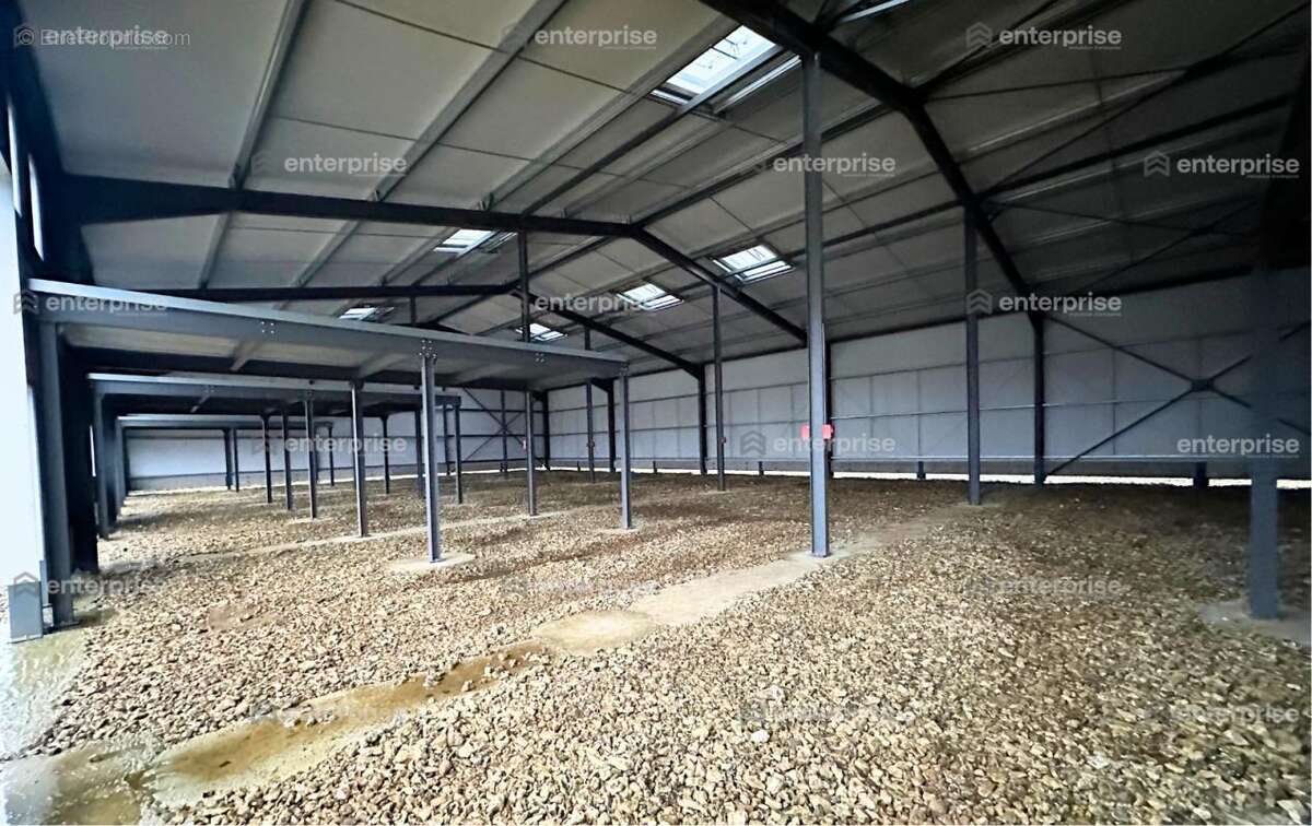 Commerce à NOVILLERS