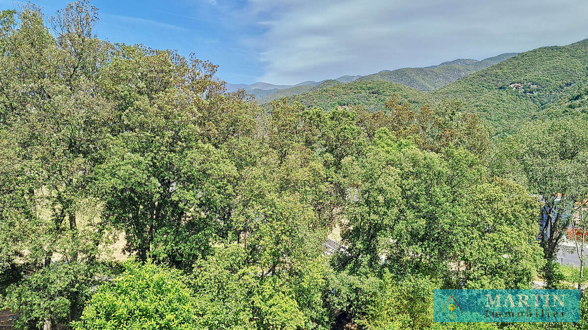 Maison à ARLES-SUR-TECH