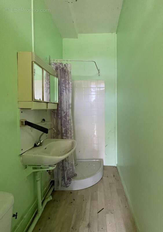 Maison à MENETOU-COUTURE