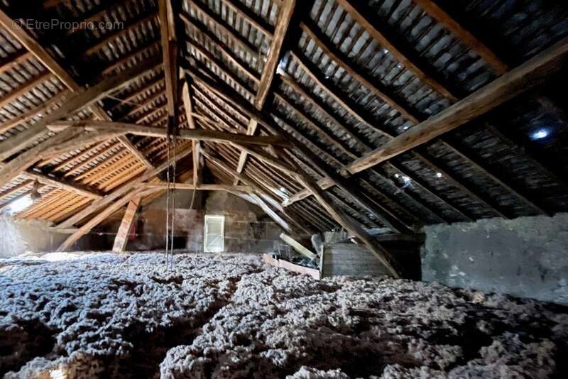 Maison à MENETOU-COUTURE