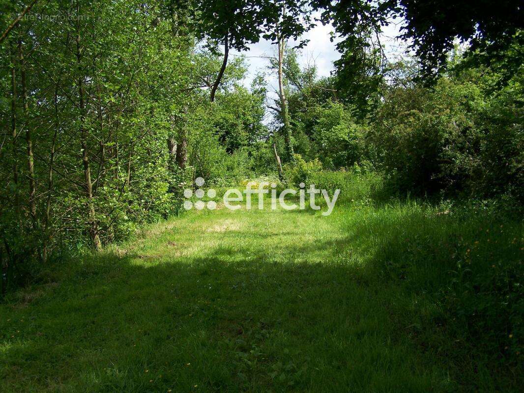 Terrain à SAINT-PIAT