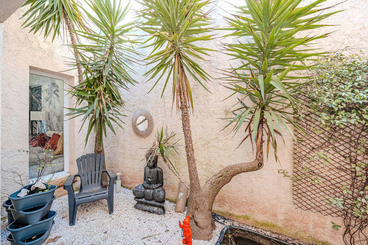 Maison à SOLLIES-TOUCAS