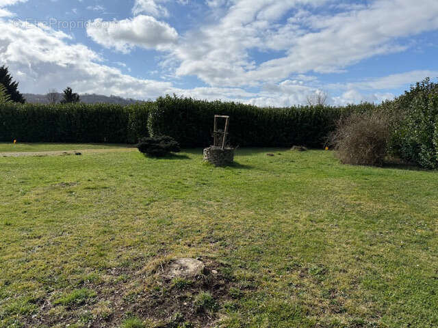 Terrain à SAINT-CHEF