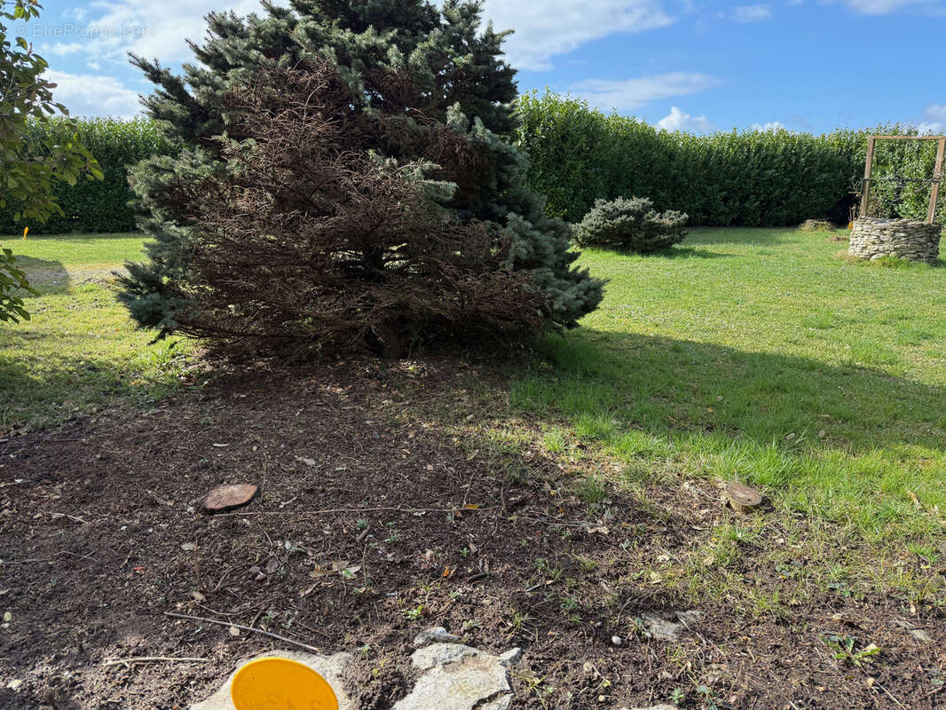 Terrain à SAINT-CHEF