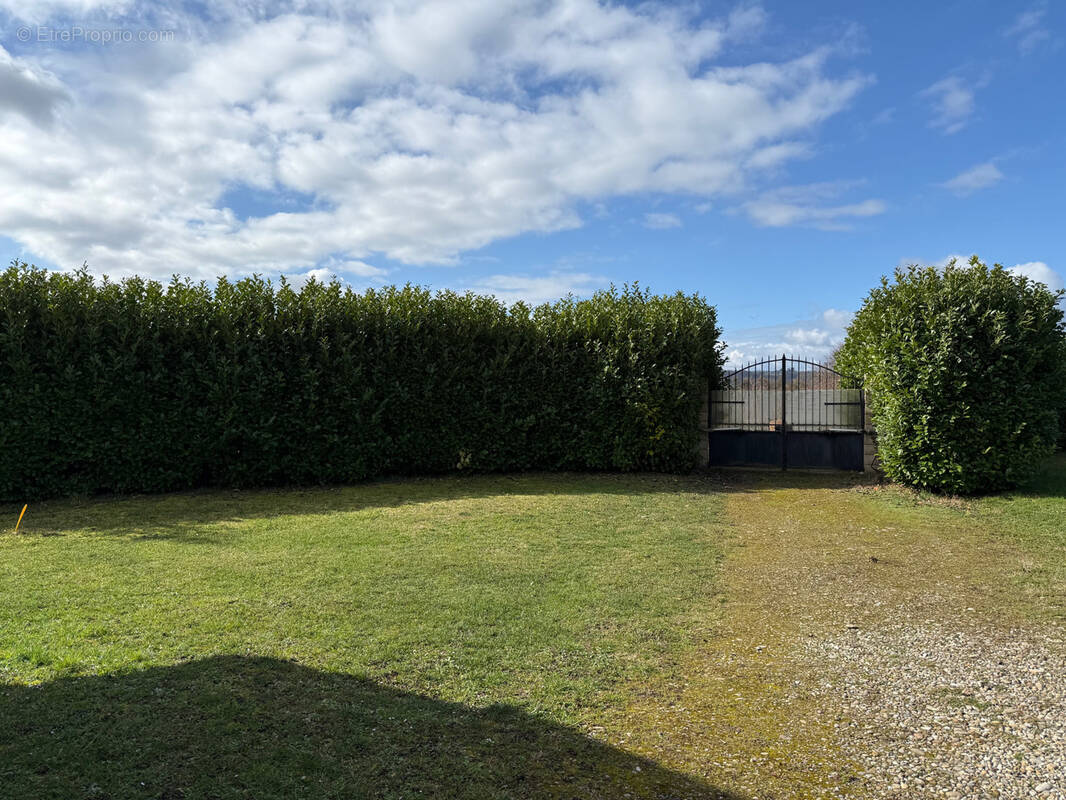 Terrain à SAINT-CHEF