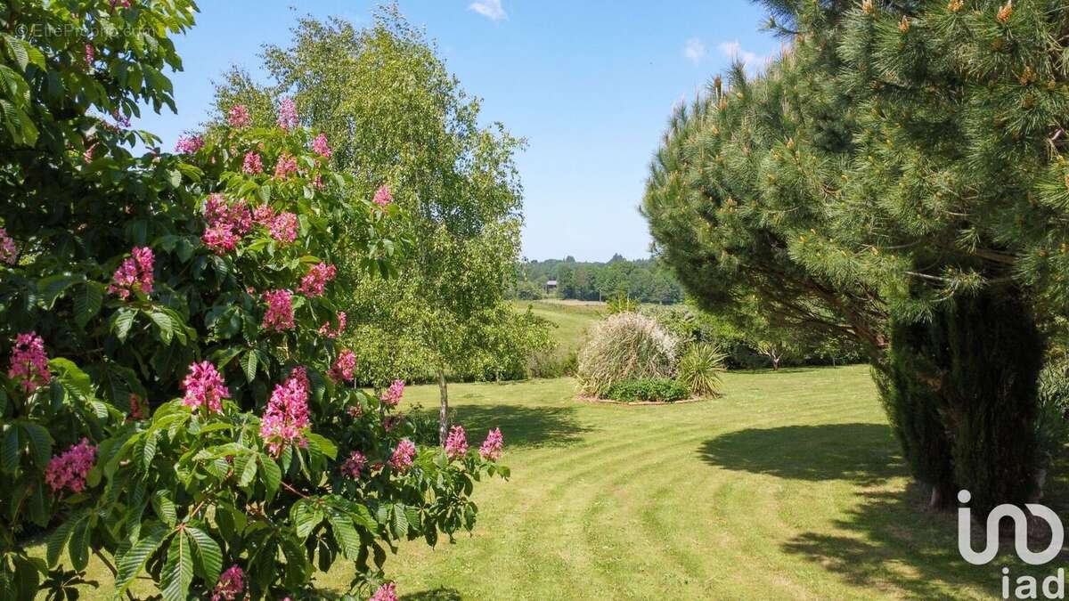 Photo 9 - Maison à ORADOUR-SUR-GLANE