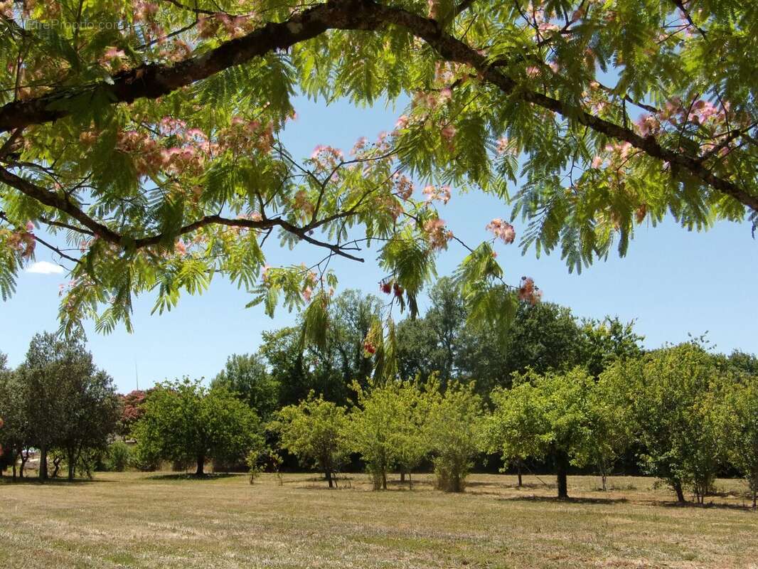 Maison à COUTURE-D&#039;ARGENSON