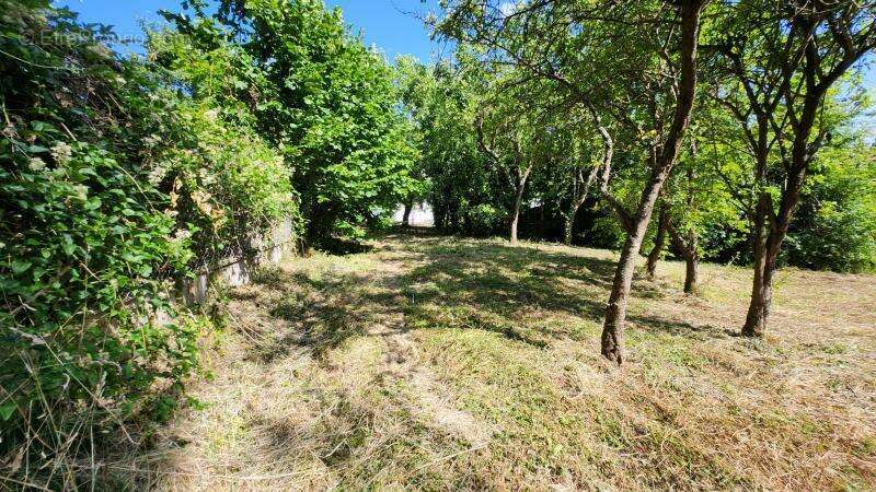 Terrain à THOUROTTE