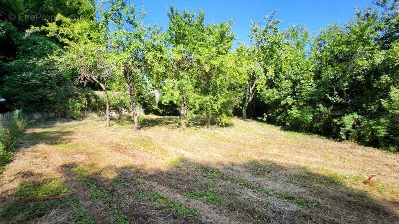 Terrain à THOUROTTE