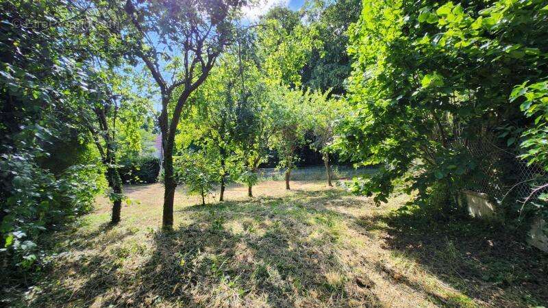 Terrain à THOUROTTE