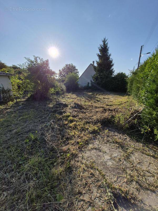 Terrain à PONT-DE-L&#039;ARCHE