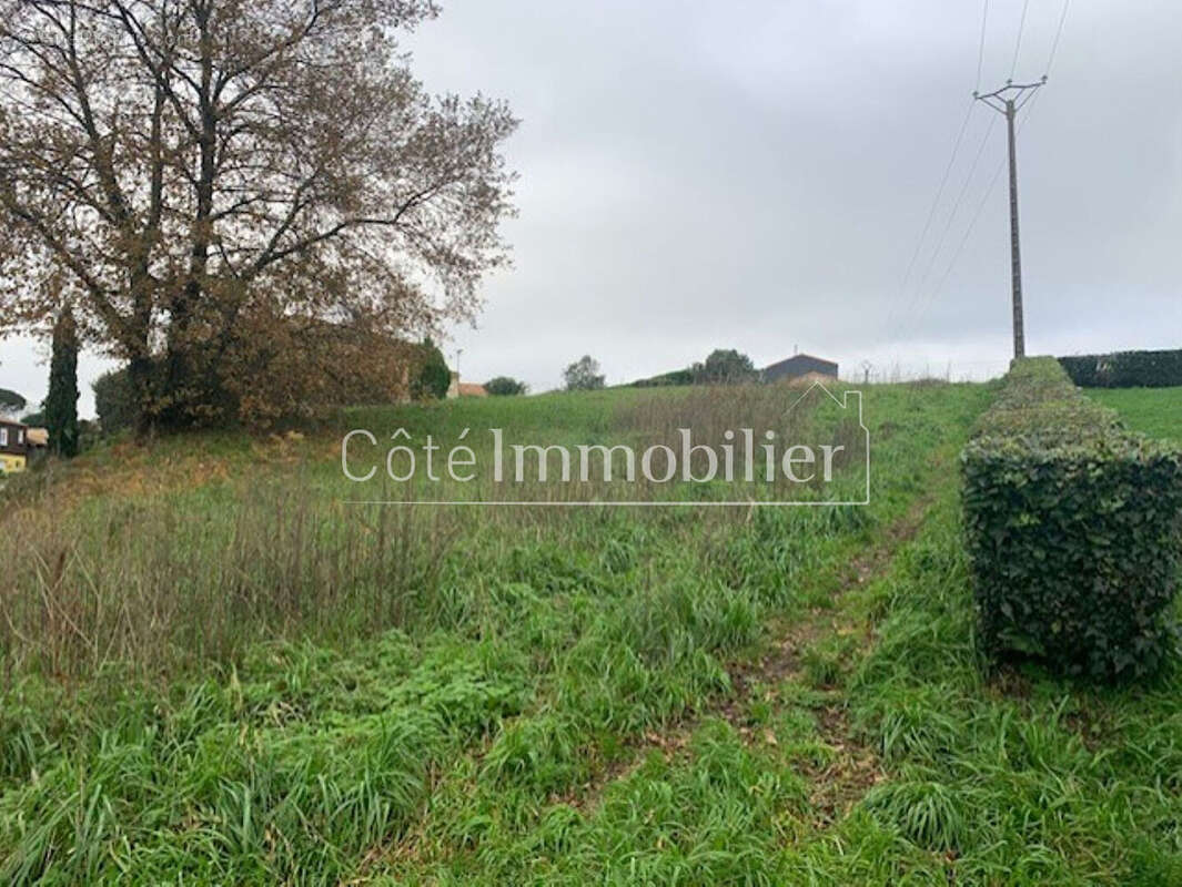 Terrain à PORT-SAINT-PERE