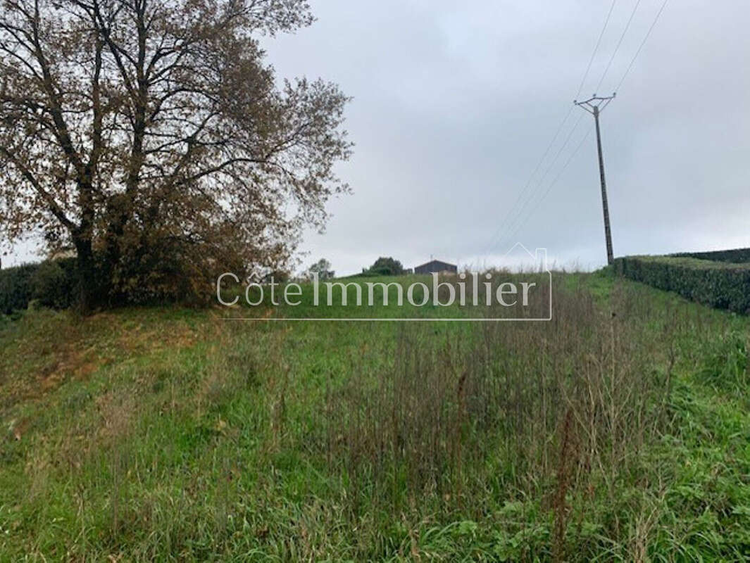 Terrain à PORT-SAINT-PERE