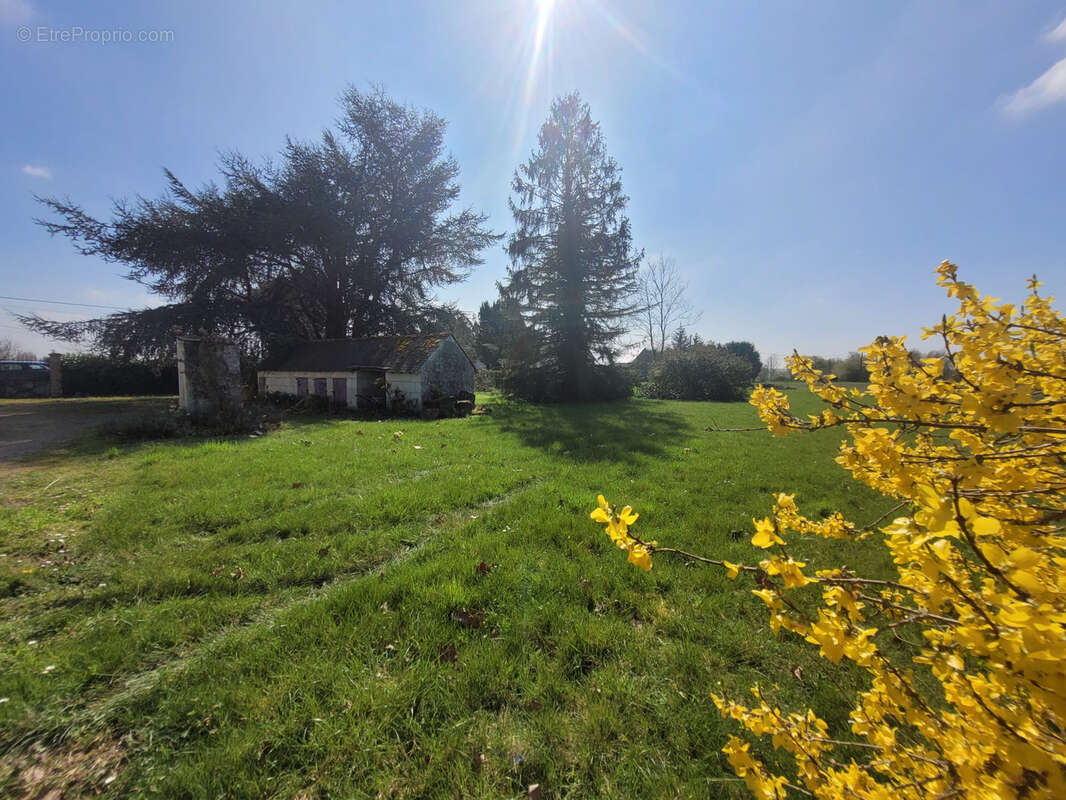Maison à SAINT-MATHURIN-SUR-LOIRE