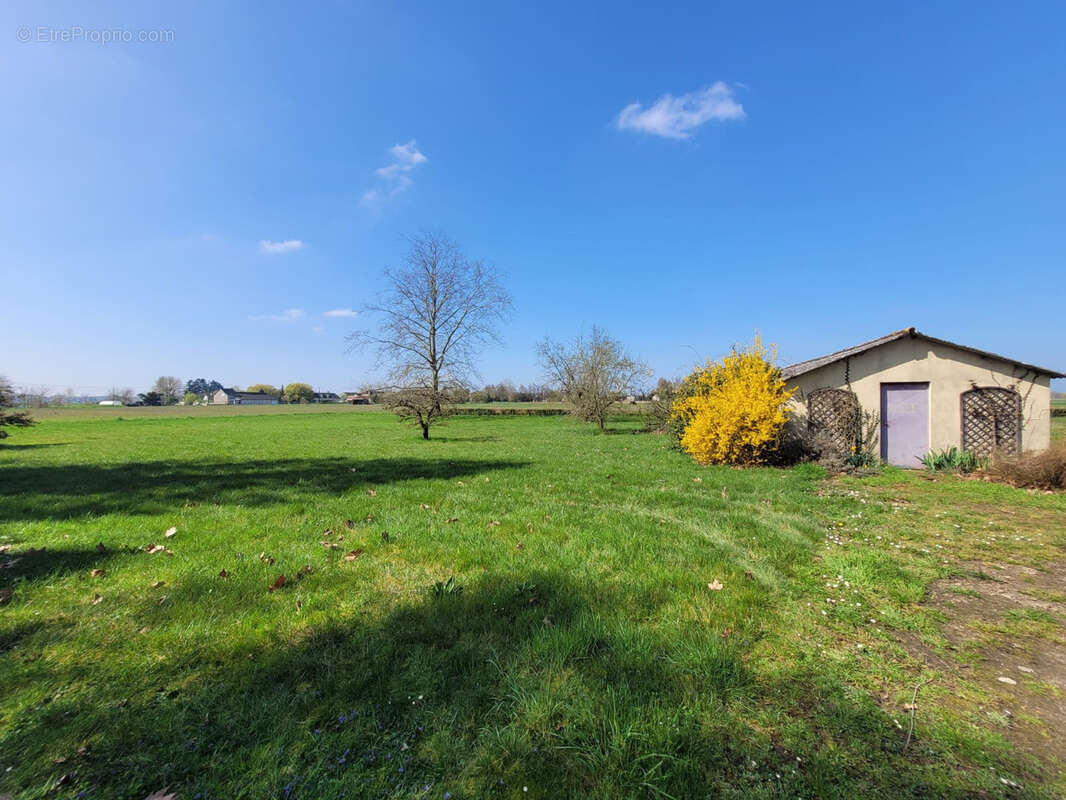 Maison à SAINT-MATHURIN-SUR-LOIRE