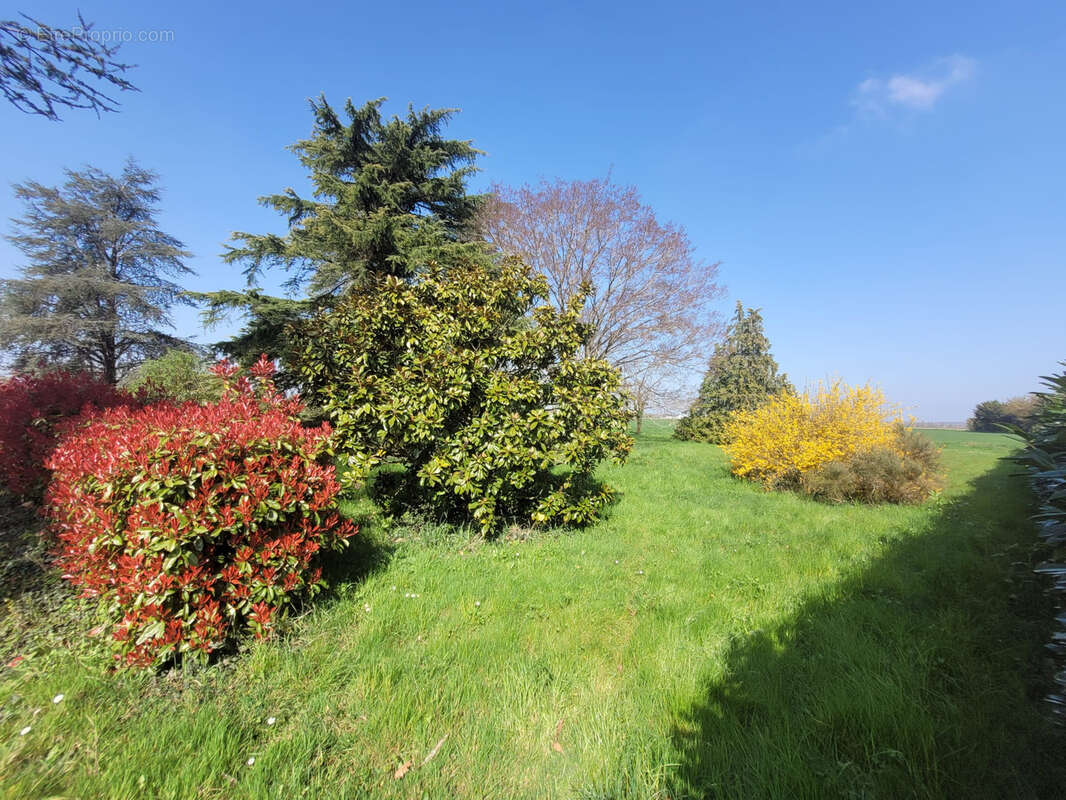 Maison à SAINT-MATHURIN-SUR-LOIRE