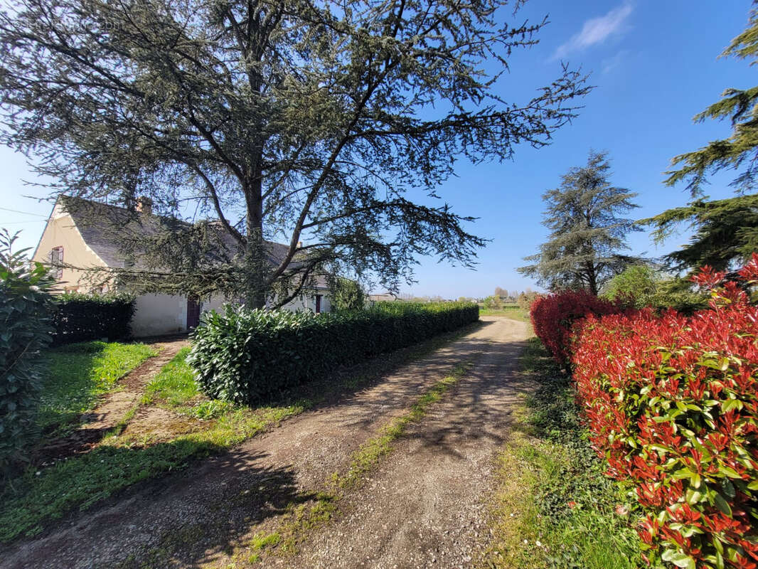 Maison à SAINT-MATHURIN-SUR-LOIRE