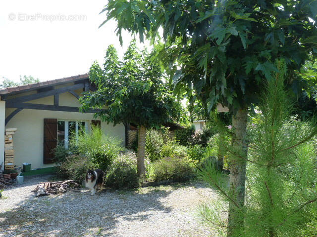 Maison à VIELLE-SAINT-GIRONS