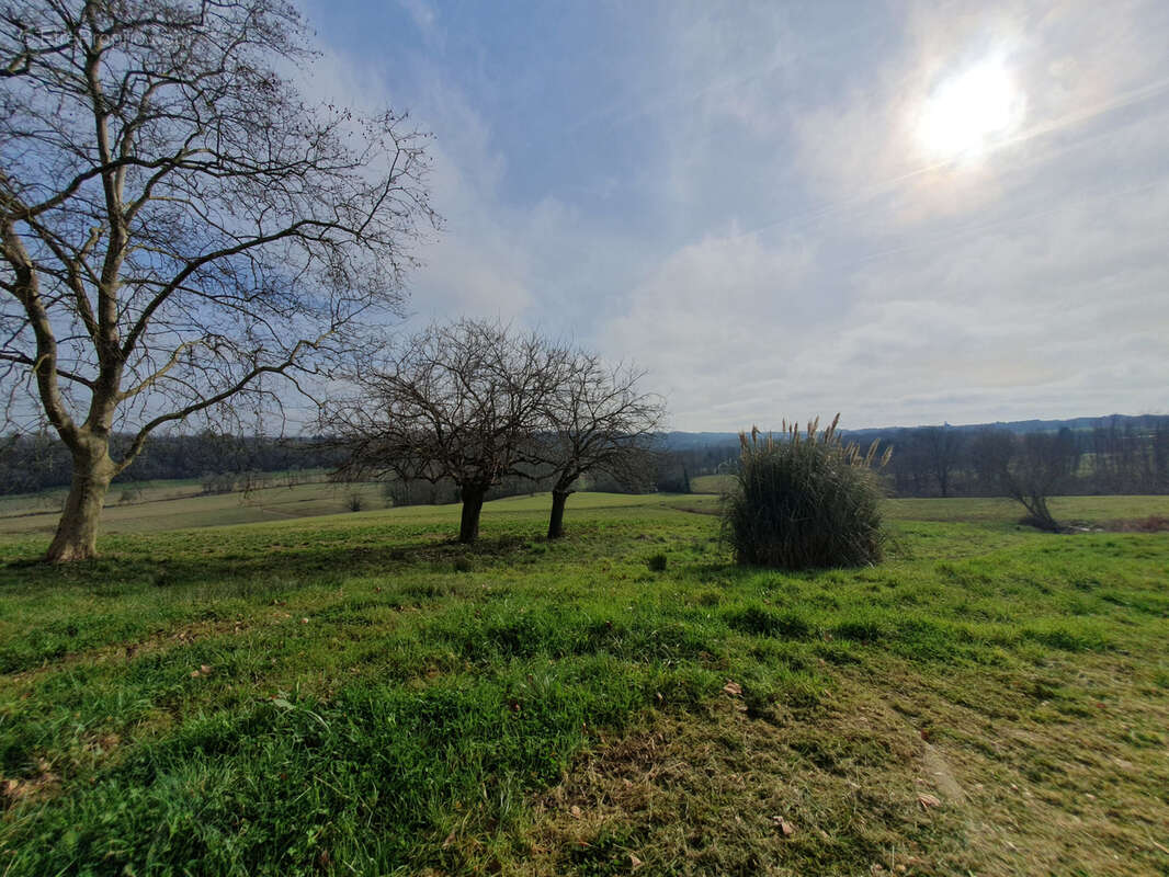 Maison à EUGENIE-LES-BAINS