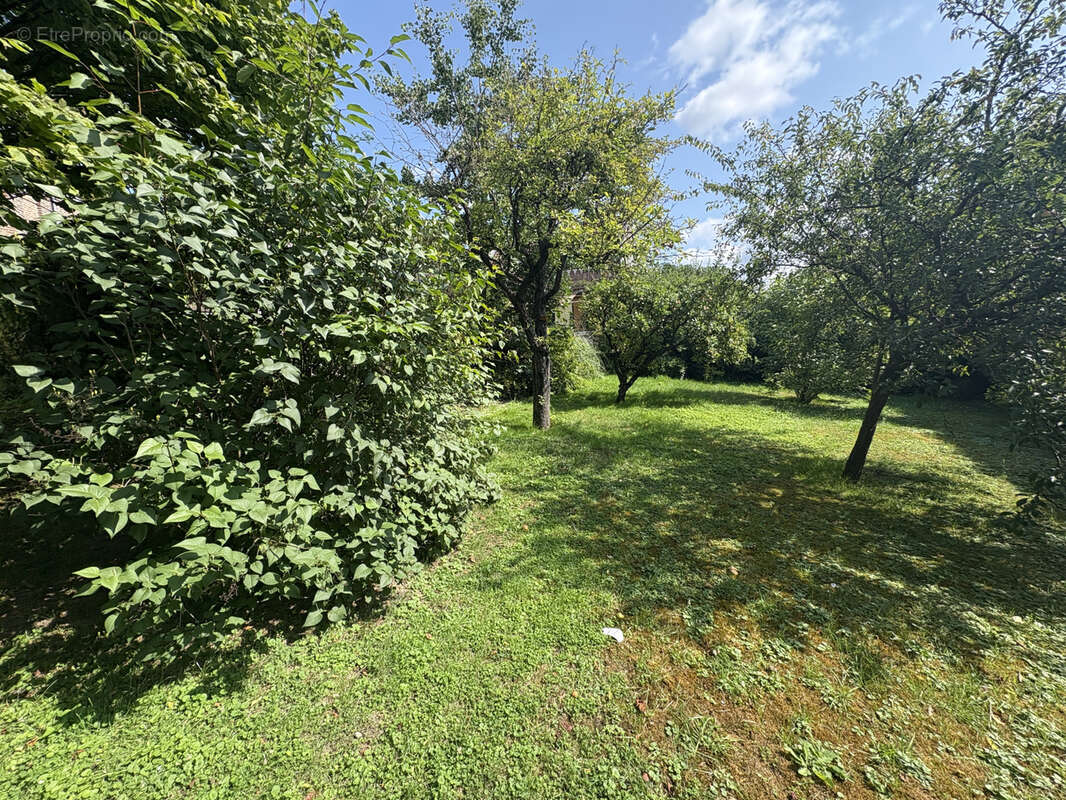 Maison à VILLE-LE-MARCLET