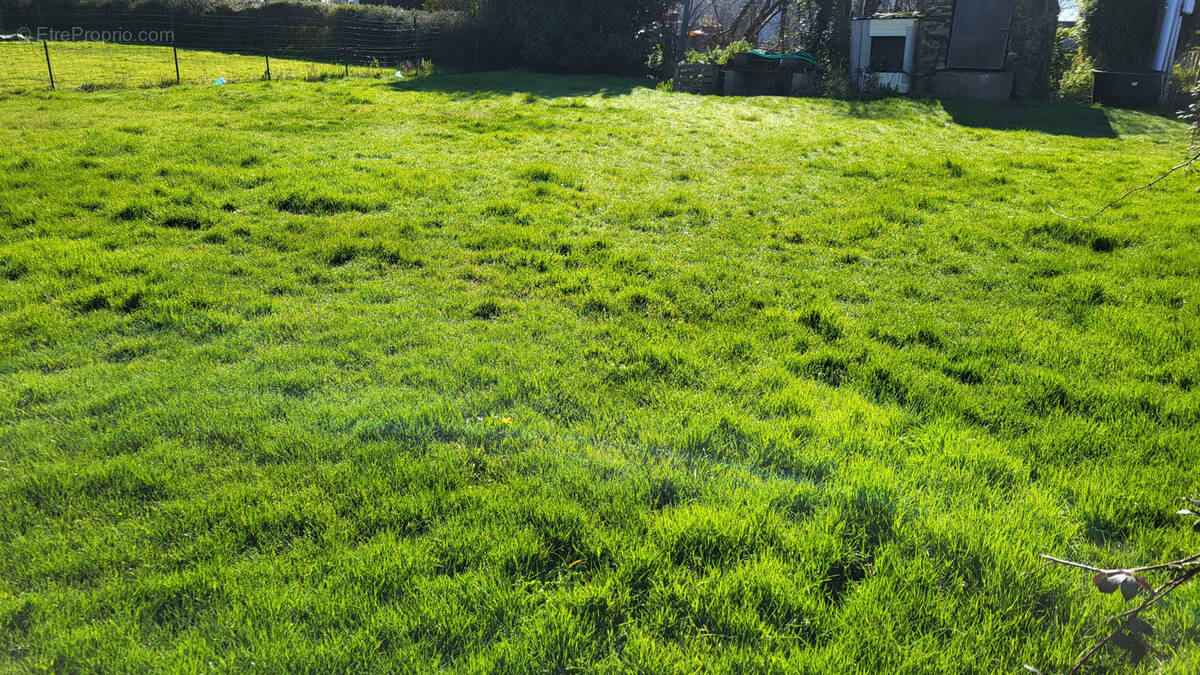 Terrain à POUILLE-LES-COTEAUX