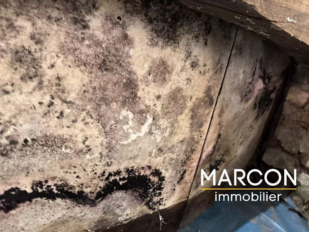 Maison à LA SAUNIERE