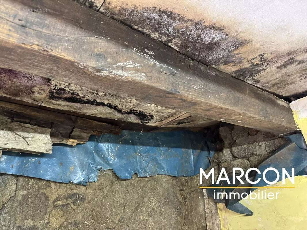 Maison à LA SAUNIERE