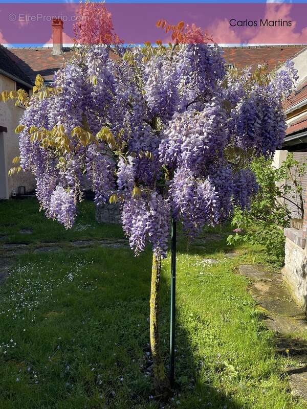 Maison à GIRONVILLE