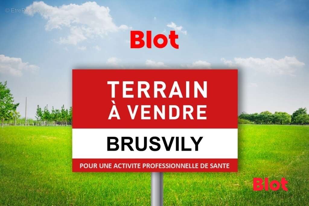 Terrain à BRUSVILY