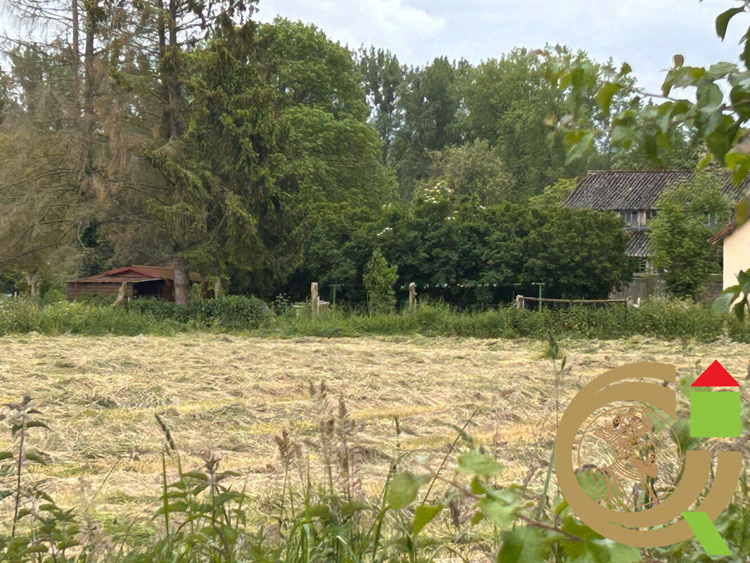 Terrain à FROHEN-LE-GRAND