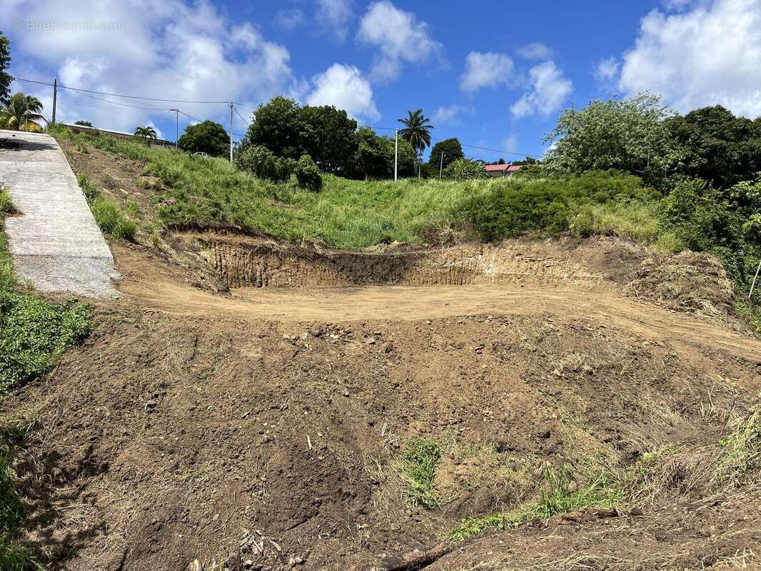 n°3 - Terrain à LE VAUCLIN