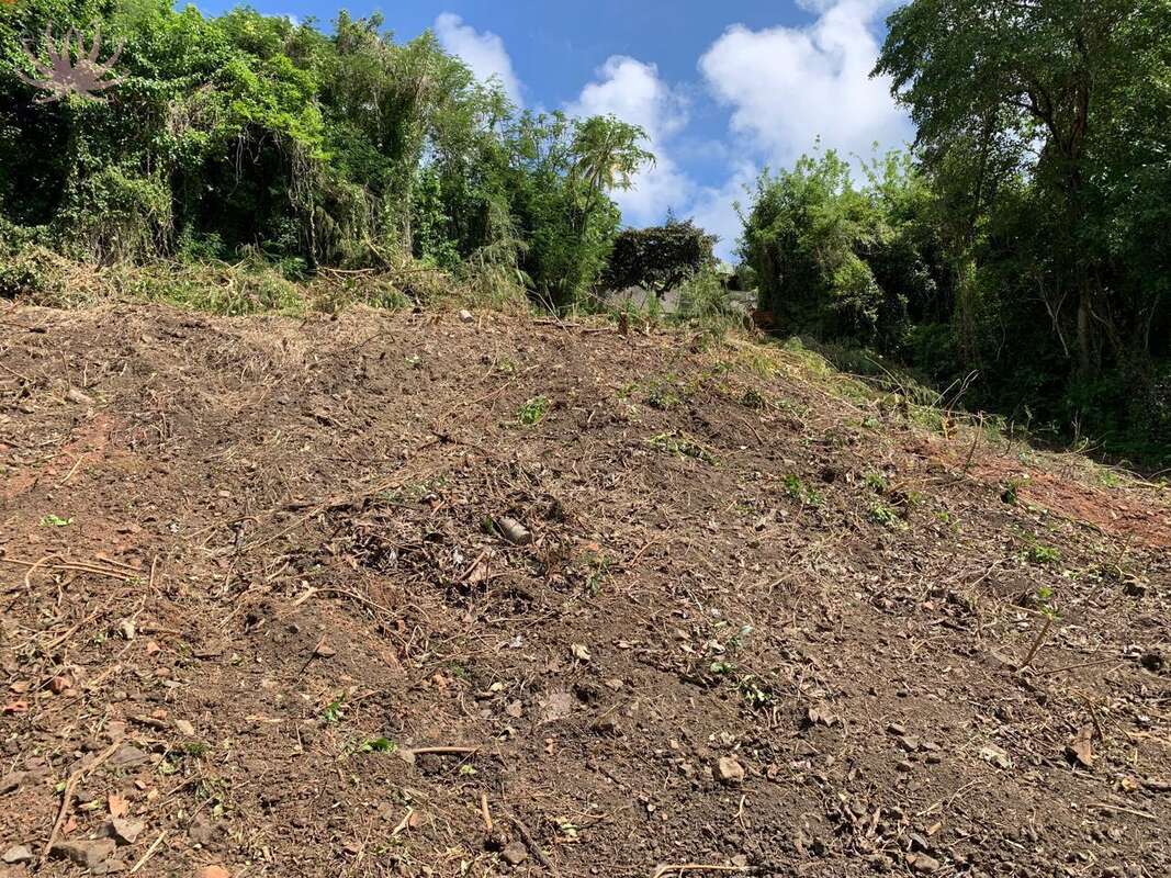 n°2 - Terrain à LE ROBERT