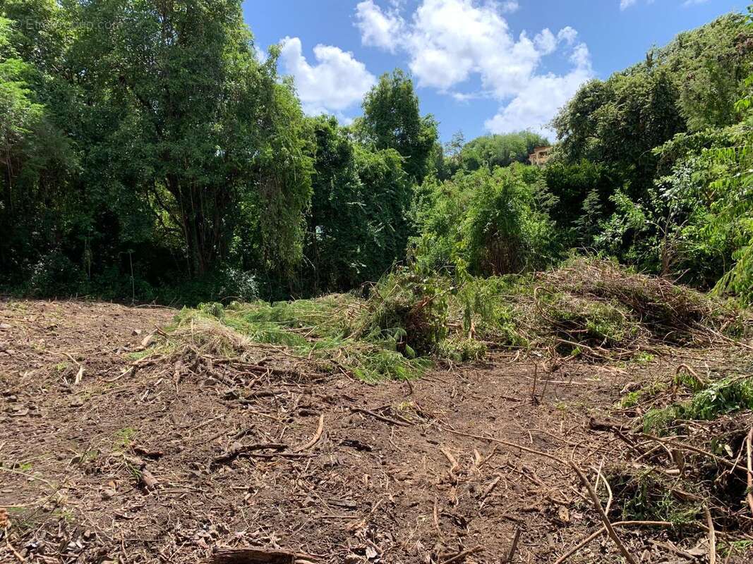 n°3 - Terrain à LE ROBERT