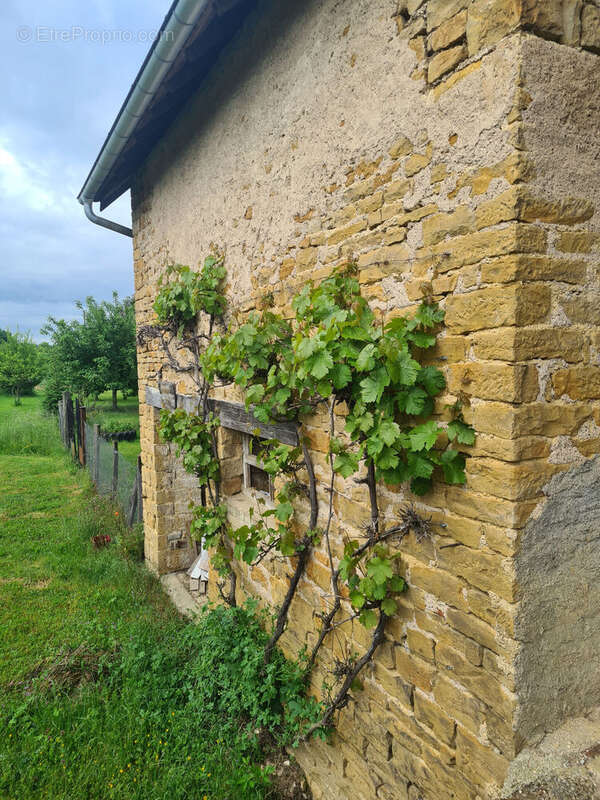 Photo 3 - Maison à GONDENANS-MONTBY
