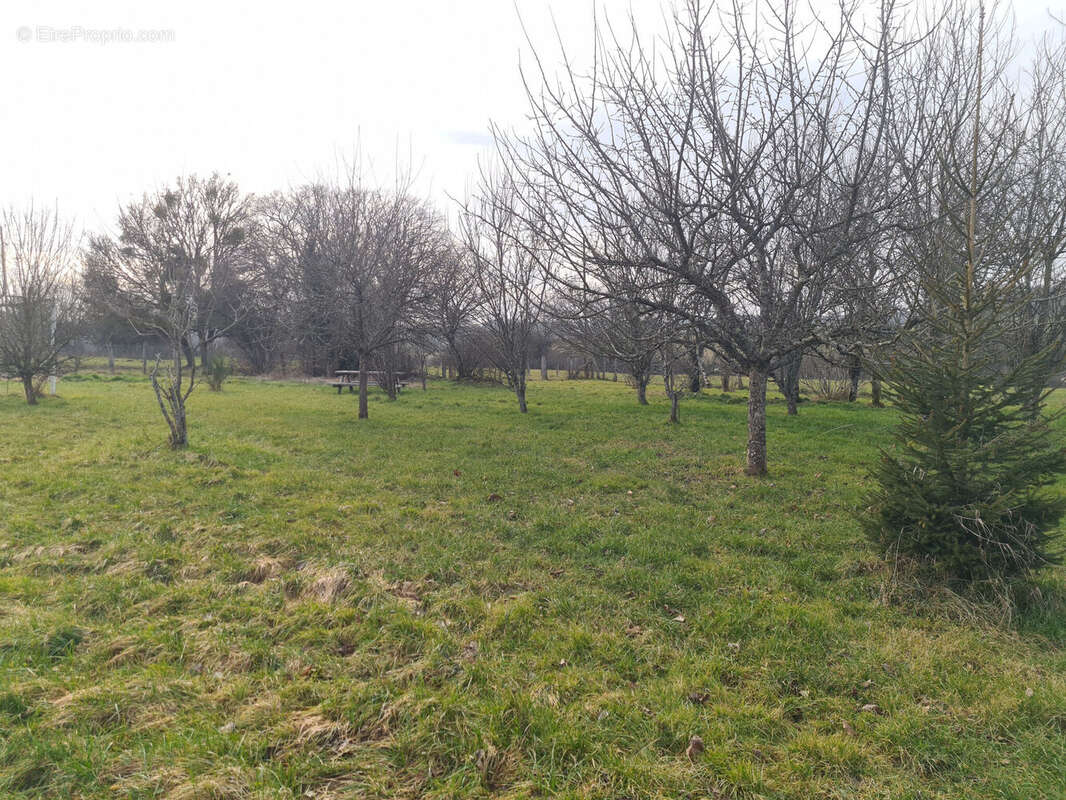 Photo 6 - Maison à GONDENANS-MONTBY