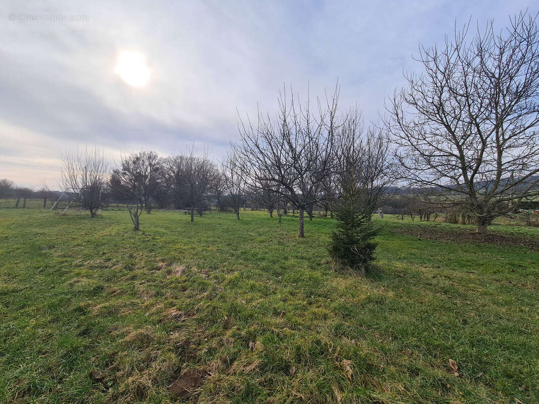 Photo 7 - Maison à GONDENANS-MONTBY