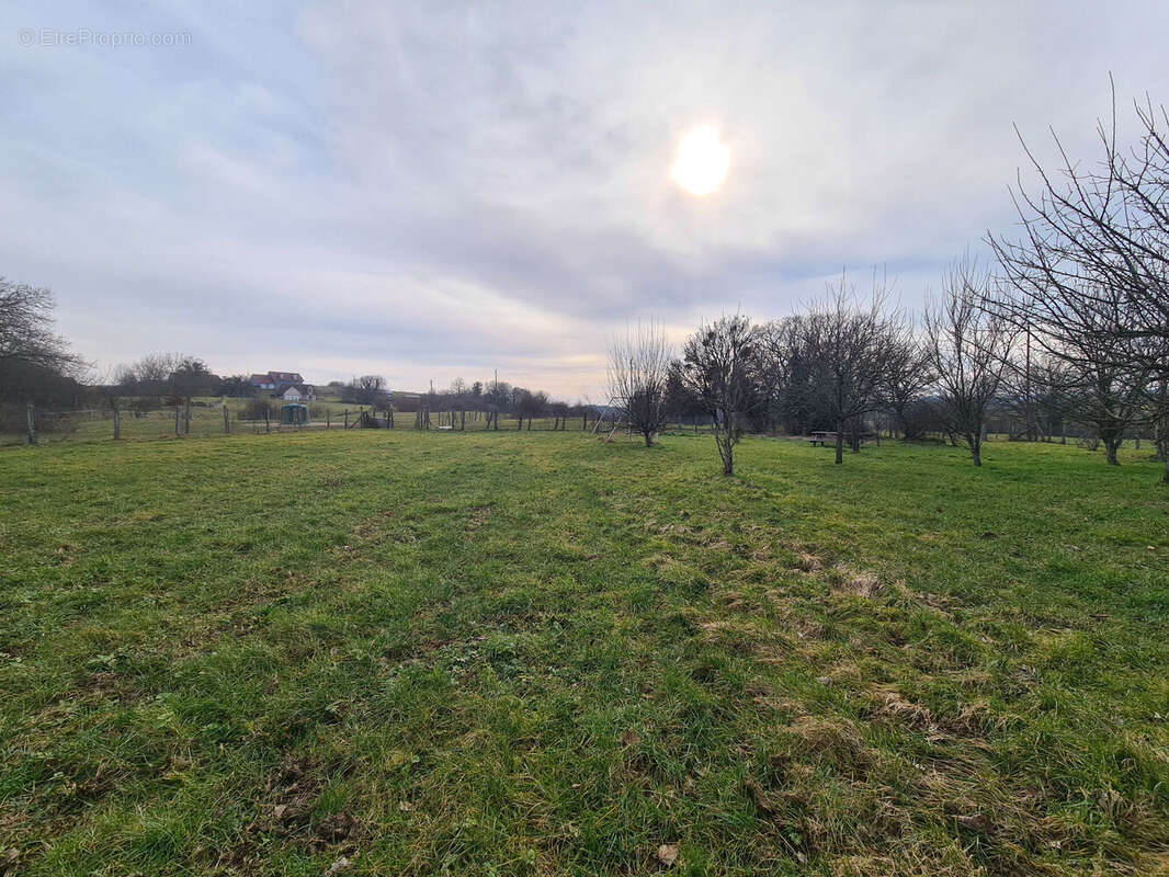 Photo 8 - Maison à GONDENANS-MONTBY