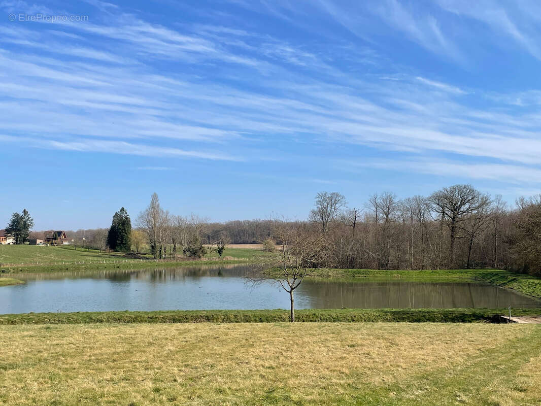 Maison à SAINT-MARTIN-EN-BRESSE