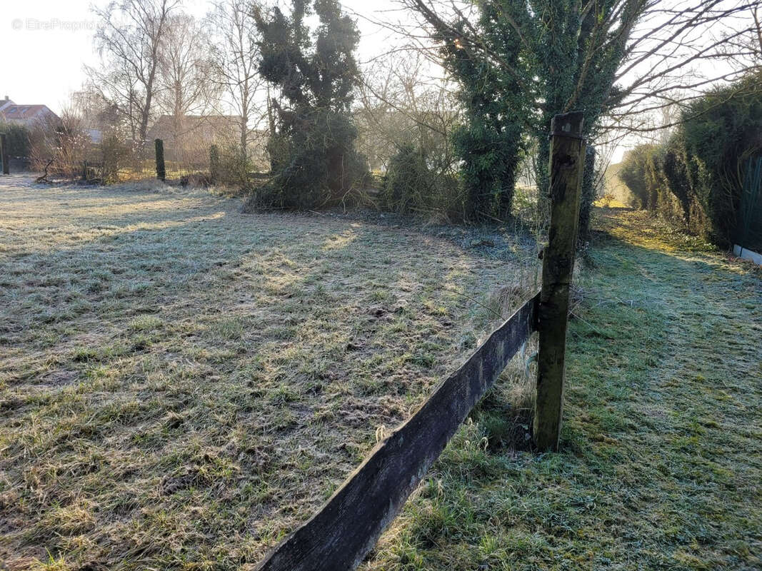 Terrain à BERTANGLES