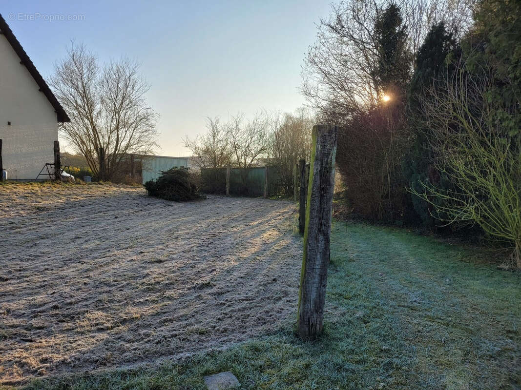 Terrain à BERTANGLES