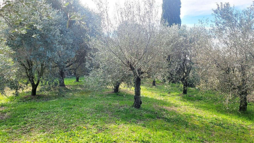 Maison à SERIGNAN-DU-COMTAT