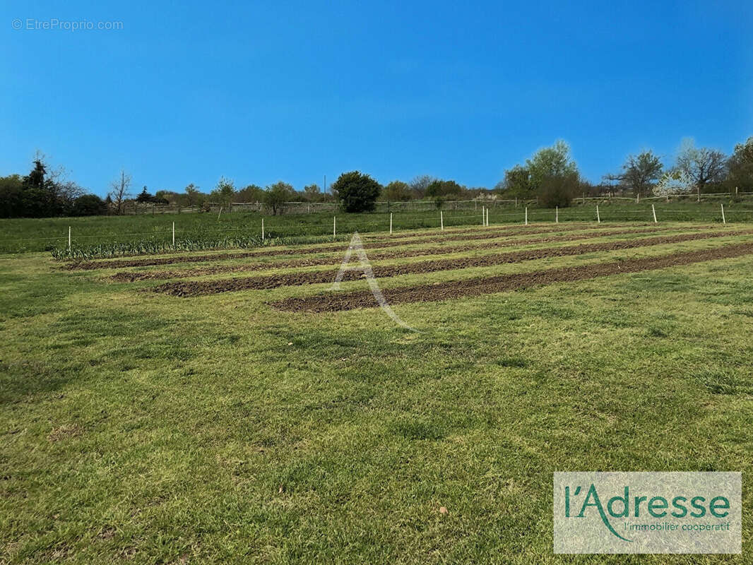 Maison à SAINT-ALBAN
