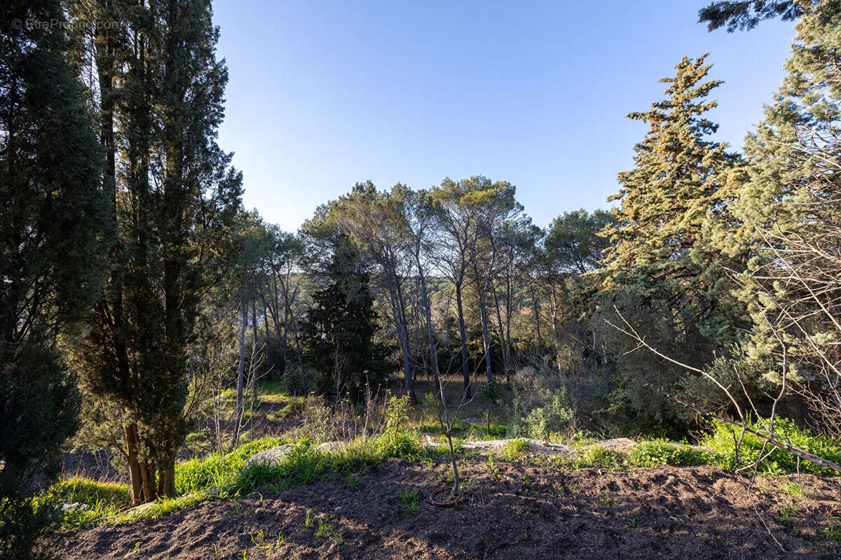 Terrain à MONTPELLIER
