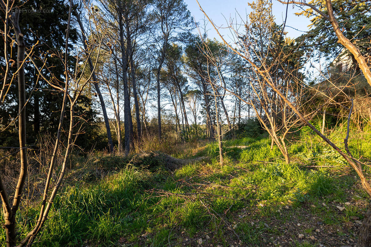 Terrain à MONTPELLIER