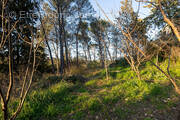 Terrain à MONTPELLIER