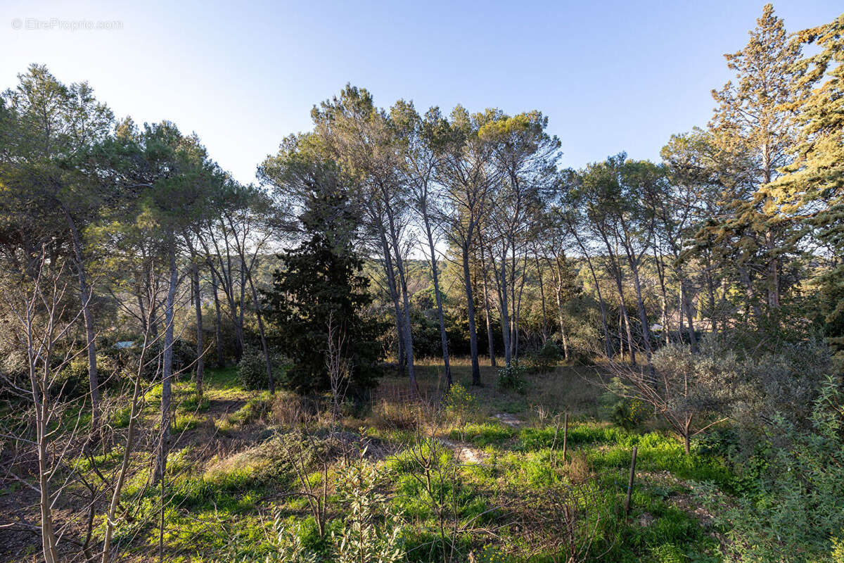 Terrain à MONTPELLIER