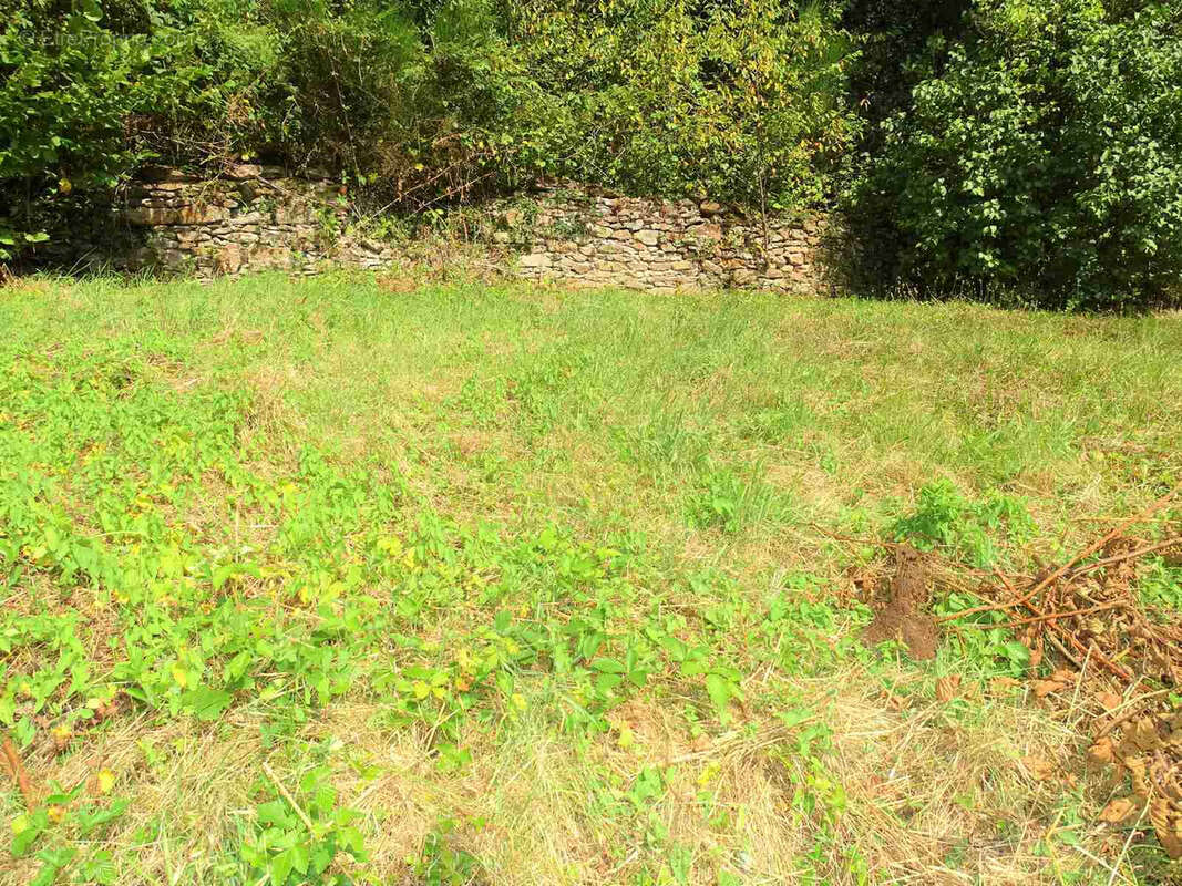 Maison à SAINT-DENIS-DES-MURS