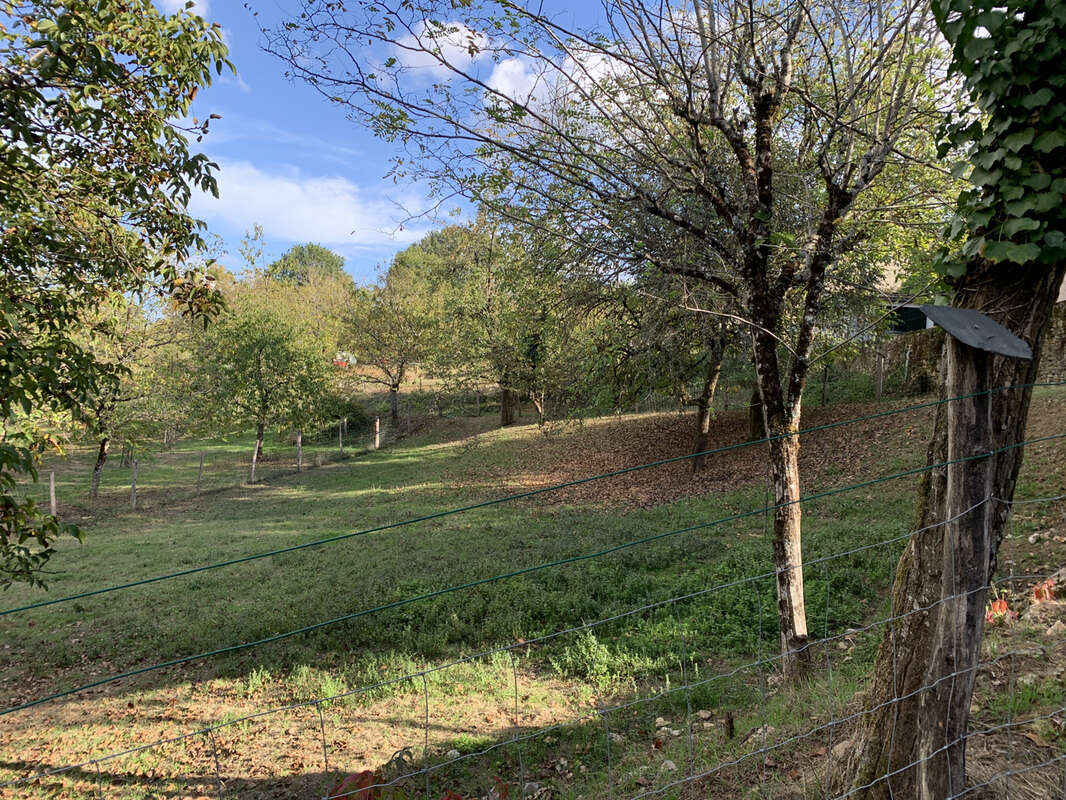 Maison à TERRASSON-LAVILLEDIEU